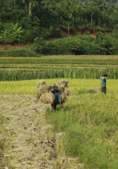 Người dân thôn Làng Nủ nén đau thương, xây dựng cuộc sống mới