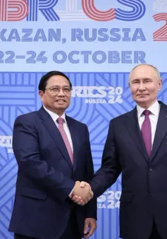 Thủ tướng Phạm Minh Chính hội đàm với Tổng thống Nga Vladimir Putin