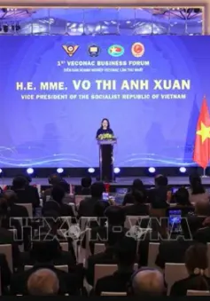 Phó Chủ tịch nước Võ Thị Ánh Xuân dự Diễn đàn Doanh nghiệp Cựu chiến binh ASEAN lần thứ nhất