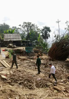 Sống sau lũ 2024: Chúng tôi sẽ đến tận nơi, trao tận tay con giống cho người dân