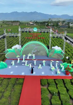 Quảng Ninh: Ấn tượng ngày Khai mạc lễ hội Trà Đường Hoa tại Hải Hà
