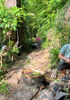 Bỏ phố vào rừng để giữ đại ngàn xanh