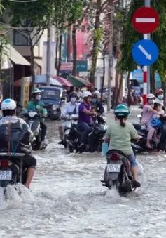 Đồng bằng sông Cửu Long cảnh báo triều cường cao gây ngập úng