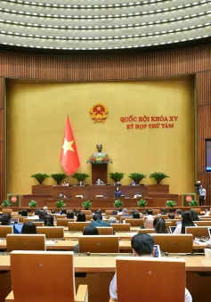 Cần xử lý nghiêm vi phạm về thực phẩm chức năng "dởm", quảng cáo sai sự thật