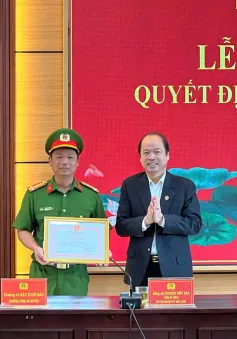 Lâm Đồng: Khen thưởng đột xuất lực lượng phá án vụ khai thác gỗ quý trái phép