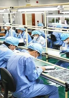 Ngành sản xuất chip bán dẫn đang dịch chuyển mạnh đến Việt Nam