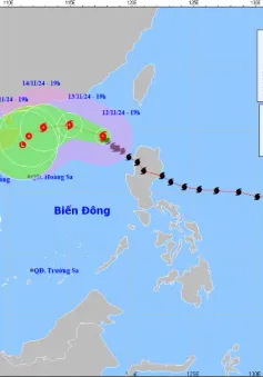 Bão số 8 di chuyển theo hướng Tây Bắc, cường độ suy yếu dần