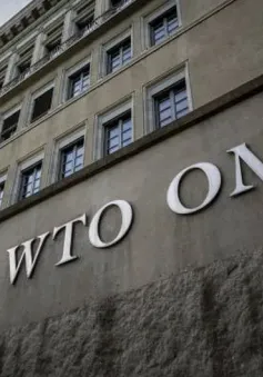 WTO có thể đẩy nhanh quy trình tái bổ nhiệm Tổng Giám đốc