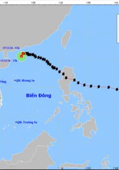 Bão số 8 suy yếu thành áp thấp nhiệt đới trên biển