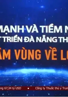 Đà Nẵng tổ chức diễn đàn khu thương mại tự do, thúc đẩy ngành logistics