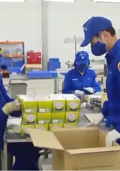 Pháo hoa Nhà máy Z121 dịp Tết sắp tới có điểm gì mới?