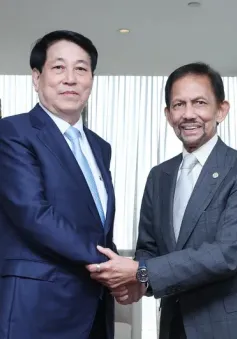 Chủ tịch nước Lương Cường hội kiến Quốc vương Brunei