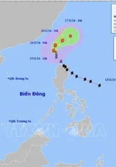 Bão Usagi đi vào khu vực Bắc Biển Đông