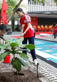 Trồng cây bàng vuông để thêm yêu biển đảo quê hương