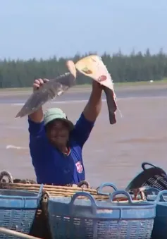 Đóng đáy hàng khơi - văn hóa biển đặc trưng của Đồng bằng sông Cửu Long