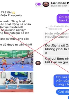 Người phụ nữ bị lừa đảo chiếm đoạt 400 triệu đồng khi đăng kí học Pickleball qua mạng