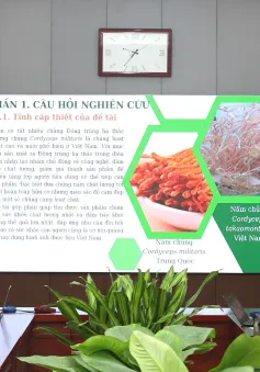 Cuộc thi khoa học kỹ thuật - sân chơi trí tuệ cho học sinh