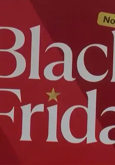 Ngành bán lẻ truyền thống Mỹ "hái ra tiền" dịp Black Friday