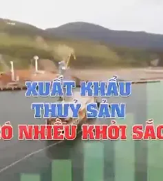 Xuất khẩu thủy sản có nhiều khởi sắc