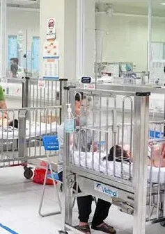 Cấp cứu kịp thời hai trẻ ngộ độc hoa thủy tiên