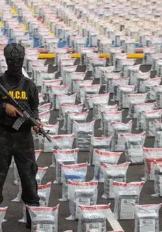 Dominica thu giữ kỷ lục 9,5 tấn cocaine giấu trong lô hàng chuối