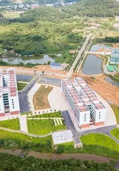 Chính phủ đề xuất chuyển 2 đại học quốc gia về Bộ Giáo dục và Đào tạo