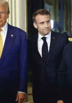 Kết quả hội đàm ba bên giữa Tổng thống Zelensky, Tổng thống Macron và ông Trump