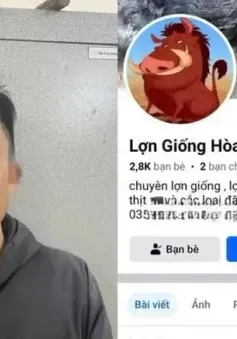 Lập Facebook "Lợn Giống Hòa Bình", lừa đảo chiếm đoạt tiền đặt cọc
