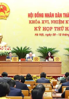 Chủ tịch Hà Nội: Tập trung nguồn lực để xây dựng đủ 18 cầu vượt sông Hồng