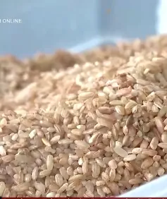 Quảng Ngãi phát triển sản phẩm OCOP