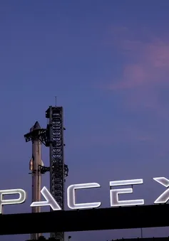 Elon Musk muốn biến khu Starbase của SpaceX thành một thành phố ở Texas