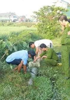 Sửa quy định về thẩm quyền của Cảnh sát môi trường