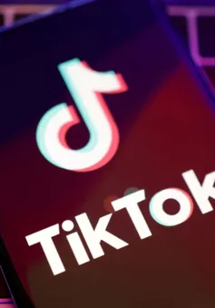 EU chính thức mở thủ tục điều tra TikTok