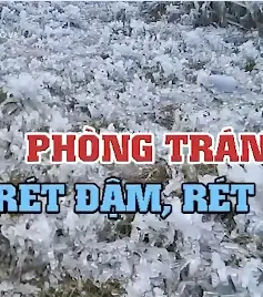 Không chủ quan trước thời tiết rét đậm