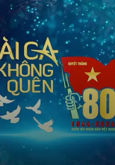 THTT Bài ca không quên - Vì nhân dân quên mình (20h10 VTV1, VTV9)