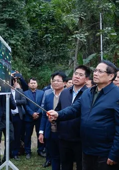 Thủ tướng yêu cầu trình Quốc hội dự án đường sắt Lào Cai - Hà Nội - Hải Phòng trong tháng 2