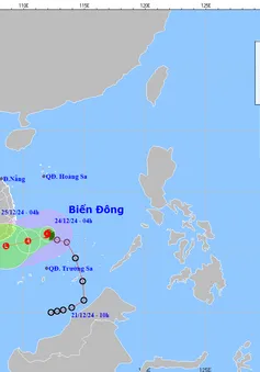 Bão số 10 giật cấp 10, Trung Bộ và Tây Nguyên có nơi mưa to