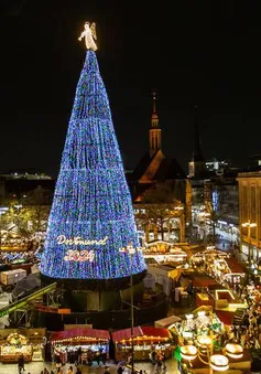 Choáng ngợp trước vẻ đẹp của những cây thông Noel "Khủng"