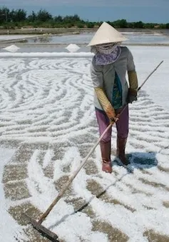 Nghề sản xuất muối Lý Nhơn - Cần Giờ được công nhận làng nghể truyền thống