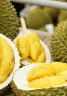 Điểm sáng xuất nhập khẩu năm 2024