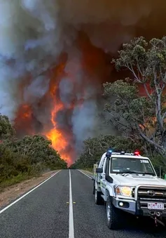 "Giặc lửa" thiêu rụi 74 nghìn ha rừng tại Australia