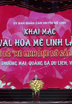 Lễ hội hoa lớn nhất Miền Bắc "Mê Linh rực rỡ sắc hoa"