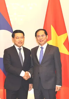 Phó Thủ tướng Bùi Thanh Sơn làm việc với Phó Thủ tướng Lào Saleumxay Kommasith