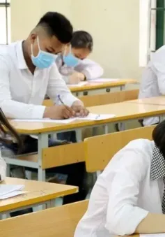 Tổ chức thi học sinh giỏi tin học định hướng AI