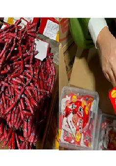 Phát hiện 14 tấn thực phẩm không rõ nguồn gốc xuất xứ tại Hà Nội