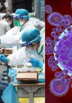 Ấn Độ lần đầu phát hiện hai trẻ nhỏ mắc bệnh hô hấp do nhiễm virus HMPV