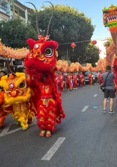 Nghệ thuật Lân Sư Rồng TP Hồ Chí Minh được công nhận là Di sản văn hóa phi vật thể quốc gia
