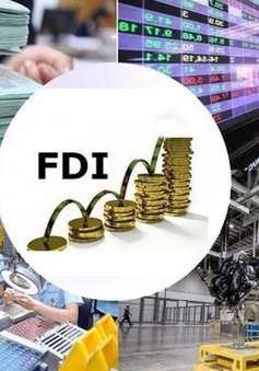 FDI tăng trưởng thực chất