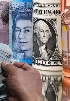 Thị trường tiền tệ: USD lấn lướt khiến nhiều đồng tiền đối thủ suy yếu