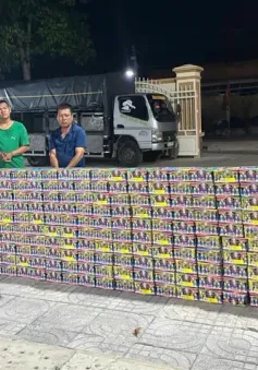 Bắt giữ đường dây vận chuyển hơn 600kg pháo lậu từ Campuchia về Việt Nam